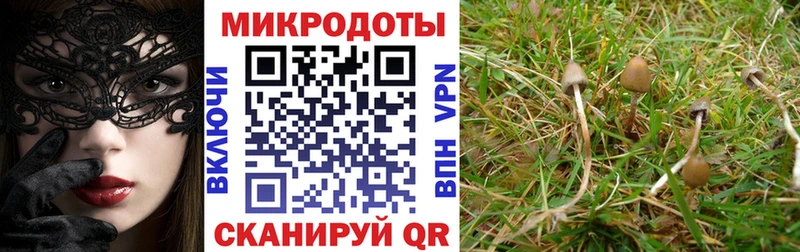 Галлюциногенные грибы MAGIC MUSHROOMS  Севск 