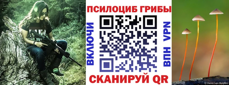 Галлюциногенные грибы GOLDEN TEACHER Севск